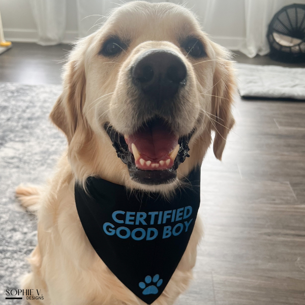 Certified Good Boy – Dog Bandana
