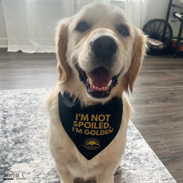 I'm Not Spoiled, I'm Golden – Dog Bandana