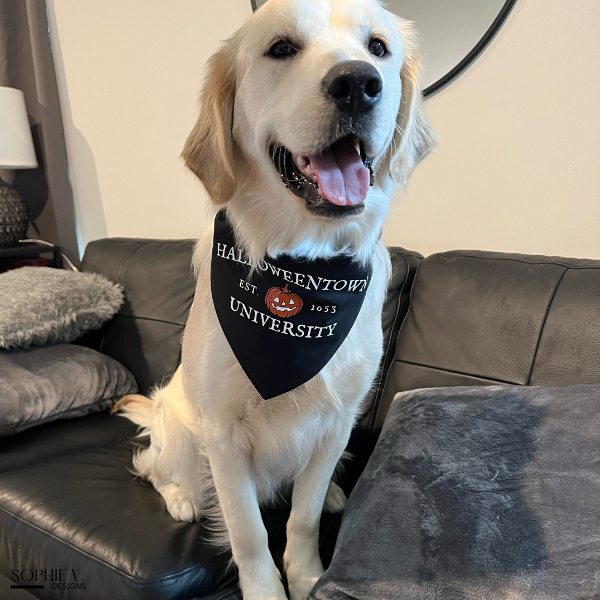 Halloweentown University Dog Bandana